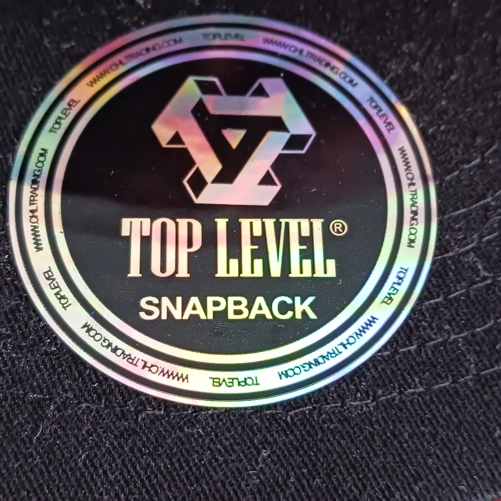 Top Level Snapback hat - Picture 2 of 6